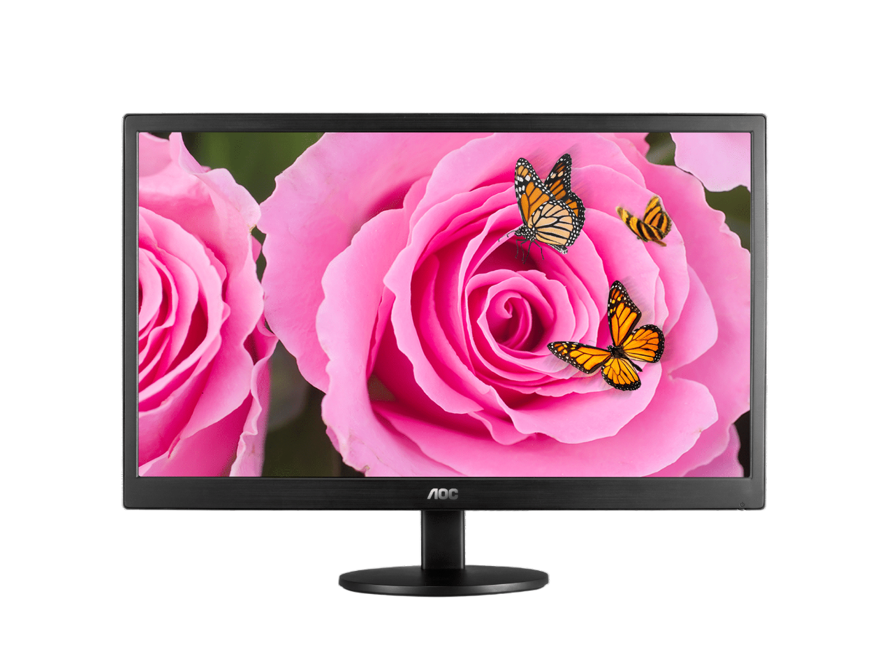 AOC 18.5" LED Monitor