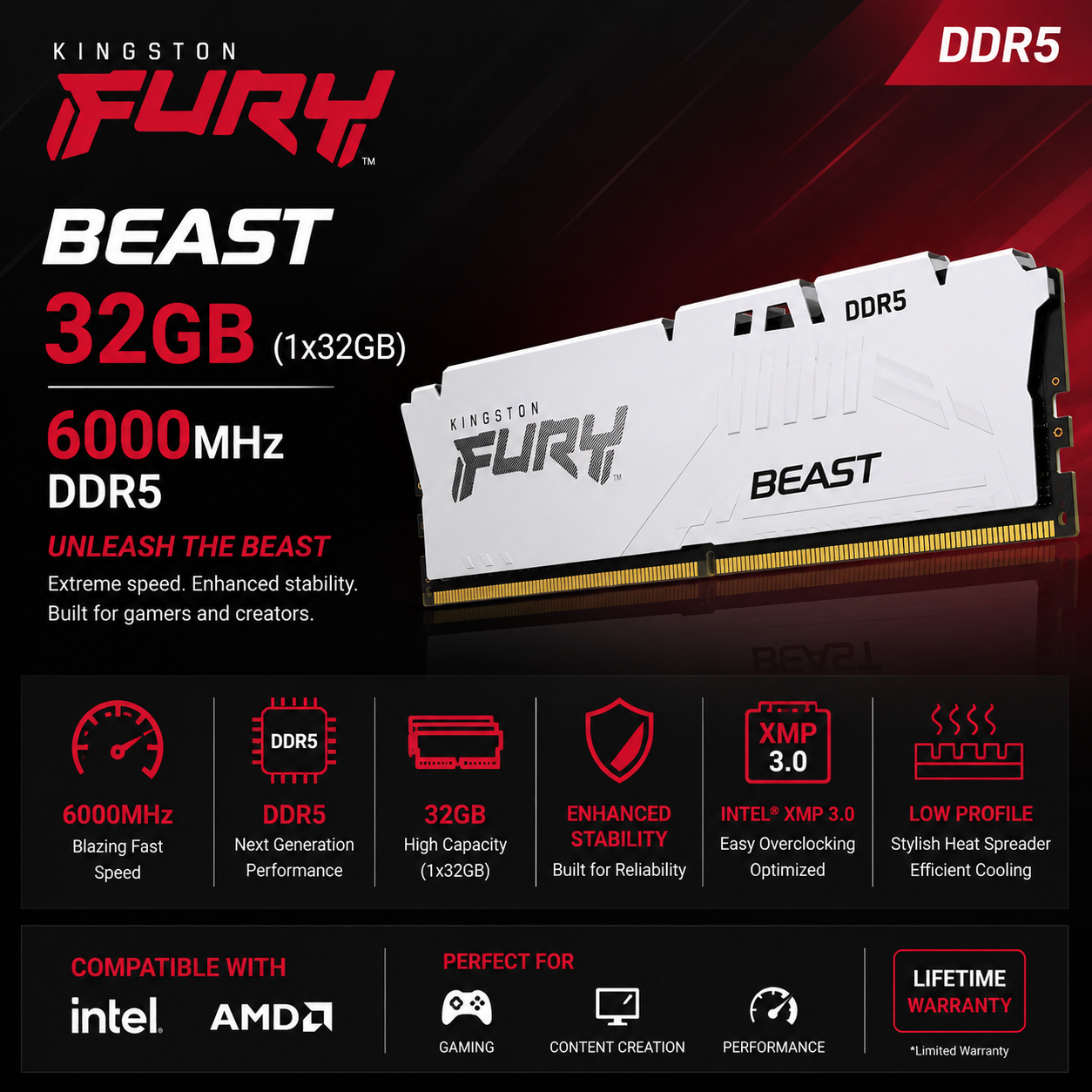 KINGSTON FURY BEAST 32G (1x32GB) 6000MHz DDR5 (KF560C40BB-32)