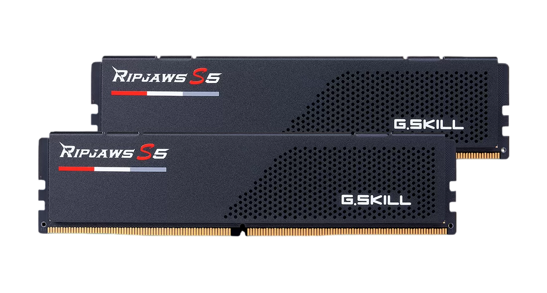 G.SKILL RIPJAWS S5 32GB(2x16GB) 6000MHz DDR5 32-38-38-96 1.35V Black | White