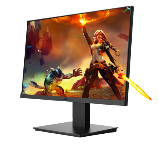 HKC 21.5" 1080P LED MONITOR